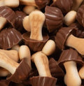 Champignons Chocolat