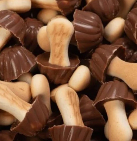 Champignons Chocolat