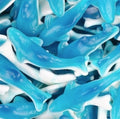 Requins Bleus