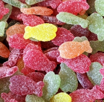 Poissons Tropicaux