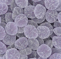 Gommes Violette
