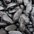 Souris Noire