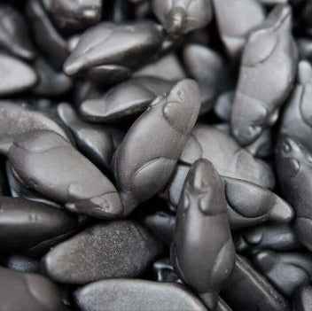 Souris Noire