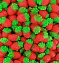 Fraises des Bois