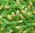 Bouteilles Mojito