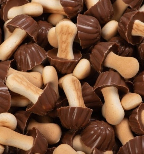 Champignons Chocolat Noir